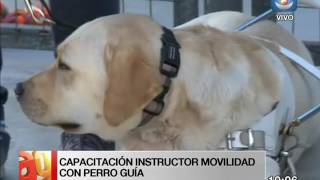 Móvil Arriba Gente - Perros guías