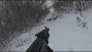 Охота на косулю / Загонная и Трудовая / Закрытие сезона 2018 / #Охота / #Hunter / #hunting