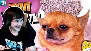Братишкин смотрит: Топ Моменты с Twitch | За Это Забанили Валакаса | Братишкин Спалил Очко
