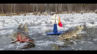 ПЕРВЫЙ ЛЕД 2018 - 2019!!! Рыбалка на жерлицы по первому льду!!! Ловля щуки по первому льду.