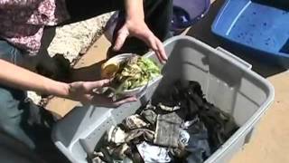 How to Compost with Worms