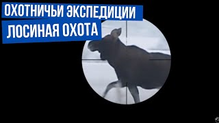 Охотничьи экспедиции. Сезон 1. Лосиная охота