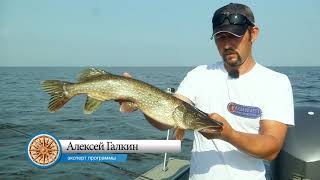 Видеокарта уловистых мест России. Сезон 7. Рыбалка на Рыбинском водохранилище