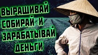 Новая игра с выводом денег без баллов и кэш поинтов РЕФБЕК 100%