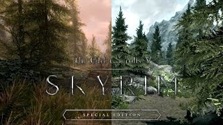 Skyrim Special Edition on lenovo G40-45 ram 4GB