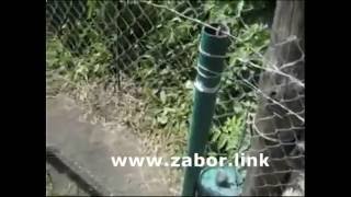 www.zabor.link - установка забора из сетки-рабицы под ключ в Екатеринбурге.