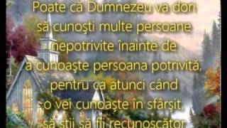 13 Randuri pentru viata