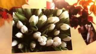 День рождения 35 лет поздравление