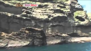 동물농장 596회 #8
