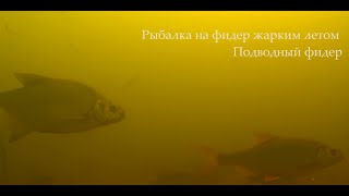 Рыбалка на фидер жарким летом/подводный фидер