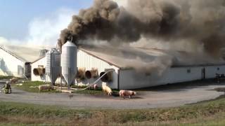Hogs die in $1 million barn blaze [raw video]