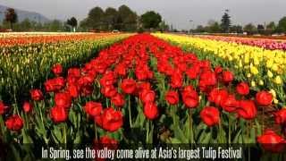 Charismatic Kashmir Packages, Kashmir Tour Packages with MakeMyTrip