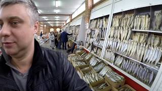 В Астрахань за рыбой.  Подводная охота. Часть IV.  Селенские Исады