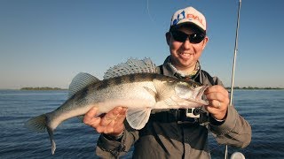 Итоги РОЗЫГРЫША Aspro. Ловля судака. Оснащение силиконового червя - Fishing Today