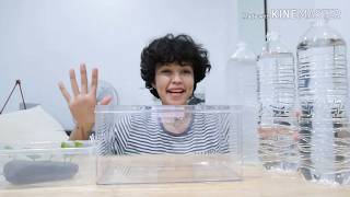 เลี้ยงหมาน้ำแบบง่ายๆ เลี้ยงaxolotl​แบบง่ายๆ เปลี่ยนน้ำในตู้ไม่ยาก ไม่ต้องใช้เครื่องกรอง