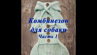 Комбинезон для собаки спицами, часть 1, Dog clothes