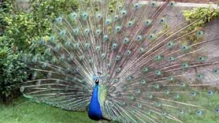 Un dia en el Zoo de Barcelona