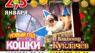Новый год и КОШКИ