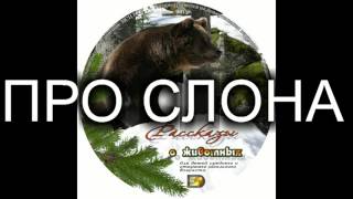 Детский рассказ о животных "ПРО СЛОНА" МСЦ ЕХБ (Благотворительный фонд "Дом Тепла")