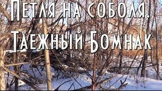 ПЕТЛЯ НА СОБОЛЯ с очепом ( ловушка ) своими руками