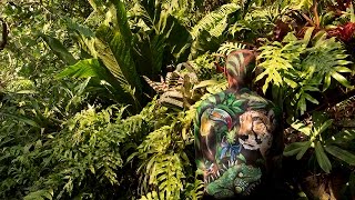 Body painting camouflage - Rainforest Biome, Eden Project