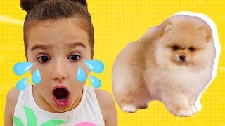 НОВЫЙ ДОМ для НАШЕЙ СОБАКИ! ПРОЩАЕМСЯ с ГАББИ! Аминка ОЧЕНЬ ПЕРЕЖИВАЕТ!