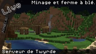 Serveur Minecraft de Twyrde - Minage et ferme à blé.
