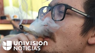 Niegan amparo para el uso recreativo de la marihuana en México