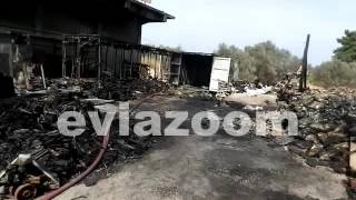EviaZoom.gr - Μύτικας: Τυλίχτηκε στις φλόγες η επιχείρηση ξυλείας του Κώστα Μπαρούτα