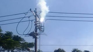 PLO - Dây điện tóe lửa, nổ như pháo ở Gò Vấp