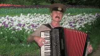 Когда весна придёт не знаю - аккордеон - A Russian love song