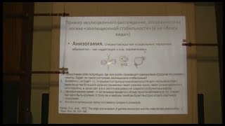 Марков Александр - Теория эволюции Лекция 8 Секс, ЭСС