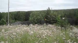Участок Красноярск. Таскино. (391) 2-51-09-08 Дача летом