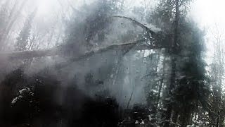 Валка леса бензопилой. Вальщик 80 lvl.