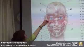 Е. Федорова - Гимнастика для лица  Здоровье изнутри