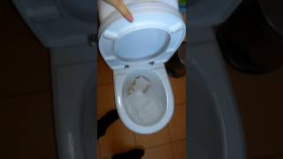Унитаз Санита Люкс, Санита, Sanita,  отзывы