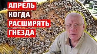 Весенние работы на пасеке в АПРЕЛЕ. Когда расширять гнезда.