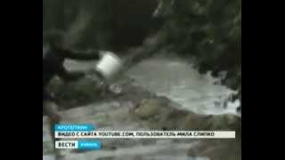 В районах края откачивают воду и убирают упавшие деревья