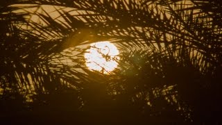Arabische Luxuswelt - Urlaub und Ausflüge in Ra's al-Chaima und Dubai