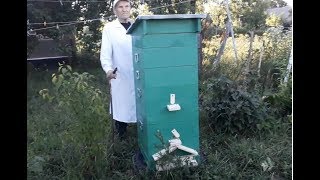 Двухкорпусный улей на 10 рамок