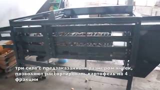 Машина для калибровки картофеля сетчатая (4-х фракционная).