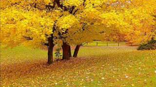 Ruinas - Vals de Jose de la Cruz Mena