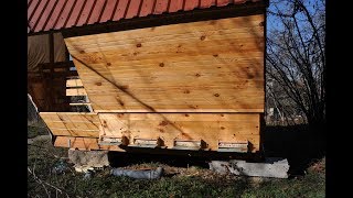 Сегодня на пасеке, 2 февраля 2020 г. +12, массовый облет, у соседей - 3 рамки расплода! О поилках.