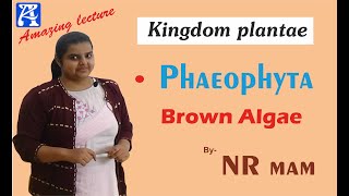 Phaeophyta Brown Algae Part -5 | NEET | AIIMS | Biology | Botany Video Lecture | NR Mam from ASQUARE