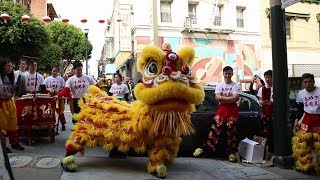 Chinese New Year 2019 Lion Dance // STEAP BOBA PERFORMANCE