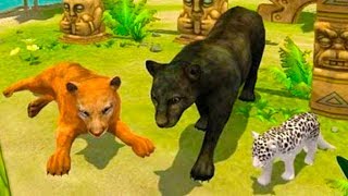 СИМУЛЯТОР ДИКОЙ КОШКИ #5 котята пантер / Развлекательное видео для детей #пурумчата