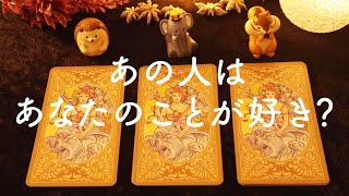 【片思い】あの人はあなたのことが好き？本当はどう思っているの？【タロット占い】