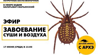 Детский эфир "Завоевание суши и воздуха" в рамках рубрики "Неурочные беспозвоночные"