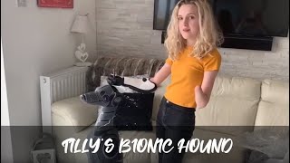 Tilly's Bionic Hound | Meningitis Now