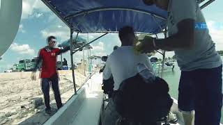 One boat, two bikes and 9 dolphins! (our moto-tour to island Holbox in Mexico)